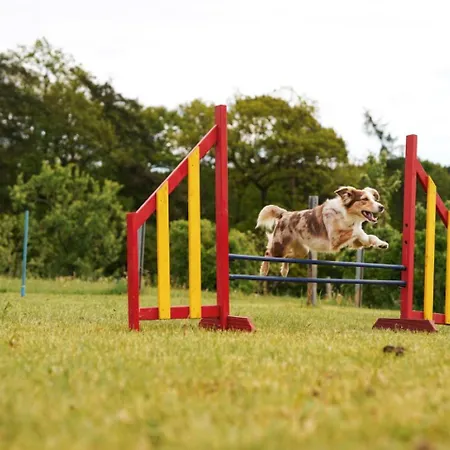 Hof Koehne - Altes - Katze Appartement Schmallenberg