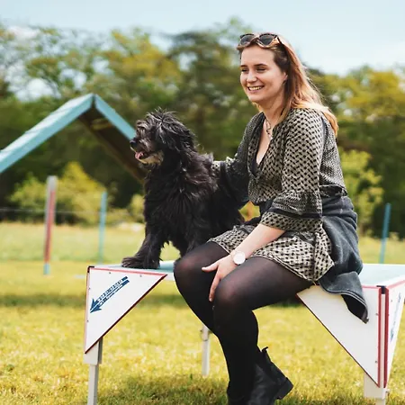 アパート Hof Koehne - Altes - Katze シュマレンベルク