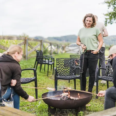 Appartement Hof Koehne - Altes - Katze
