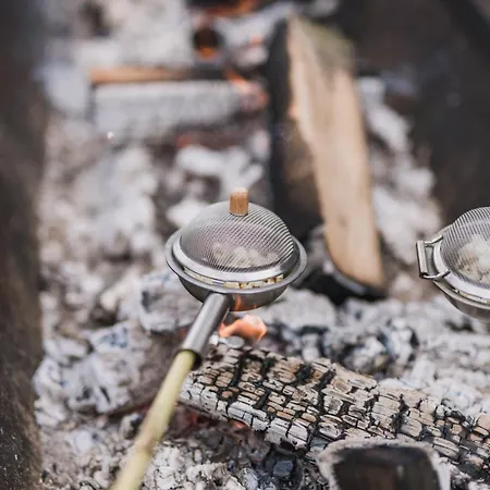 Hof Koehne - Altes - Katze * シュマレンベルク