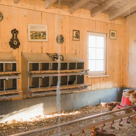 Hof Koehne - Altes - Katze アパート シュマレンベルク