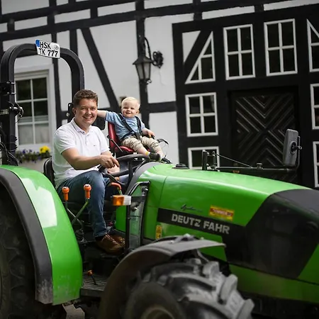 Hof Koehne - Altes - Katze Schmallenberg