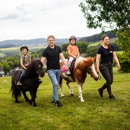 Hof Koehne - Altes - Katze