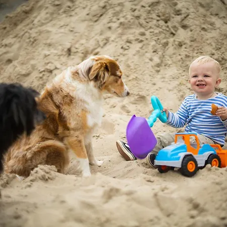 Hof Koehne - Altes - Katze アパート