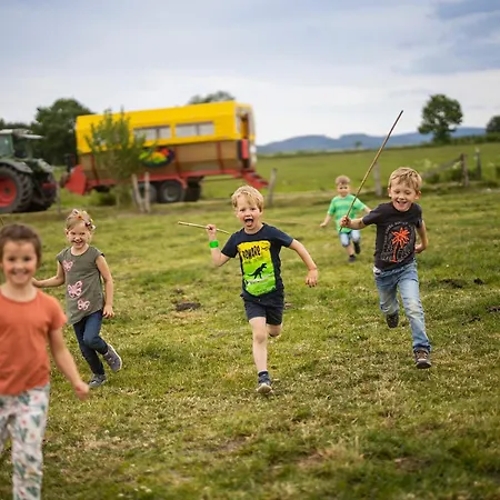 Hof Koehne - Altes - Katze * シュマレンベルク