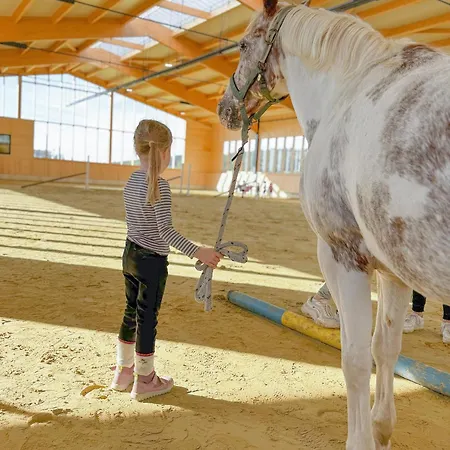 Hof Koehne - Altes - Katze Schmallenberg