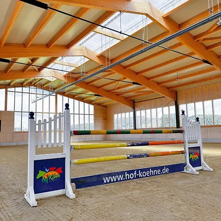 Hof Koehne - Altes - Katze アパート シュマレンベルク