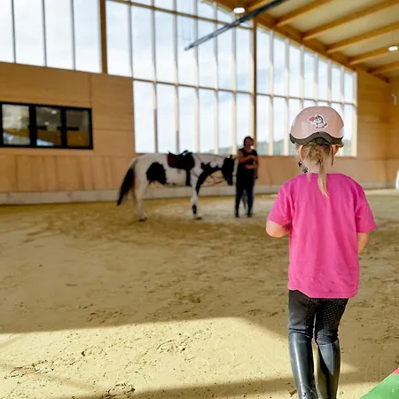 Hof Koehne - Altes - Katze アパート *