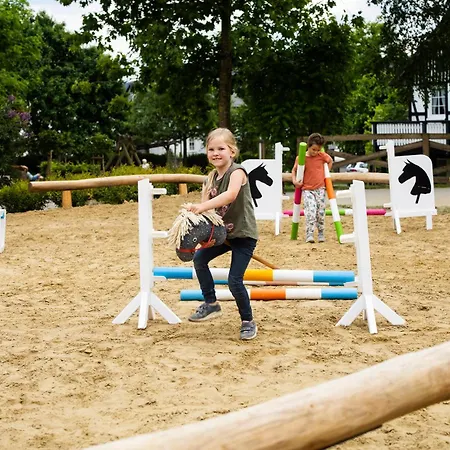 Hof Koehne - Altes - Katze アパート シュマレンベルク