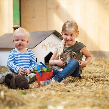 アパート Hof Koehne - Altes - Katze シュマレンベルク