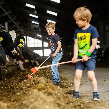 Hof Koehne - Altes - Katze アパート *