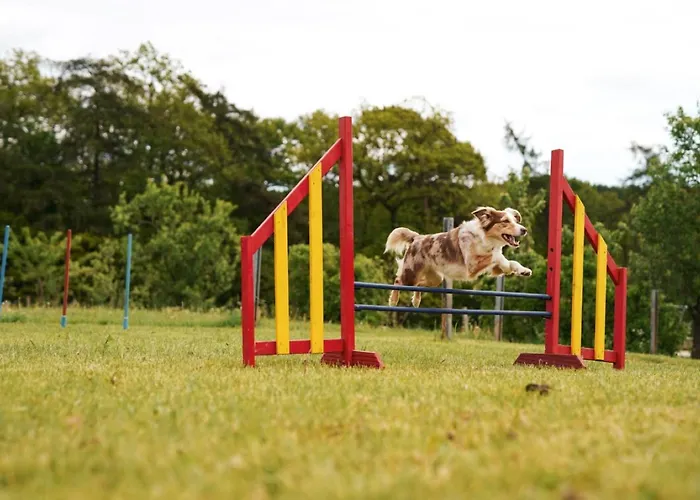 Hof Koehne - Altes - Katze Διαμέρισμα Schmallenberg