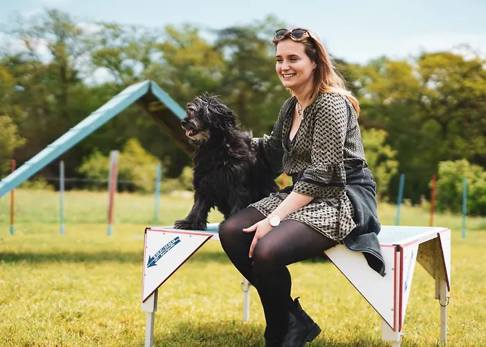 Διαμέρισμα Hof Koehne - Altes - Katze Schmallenberg