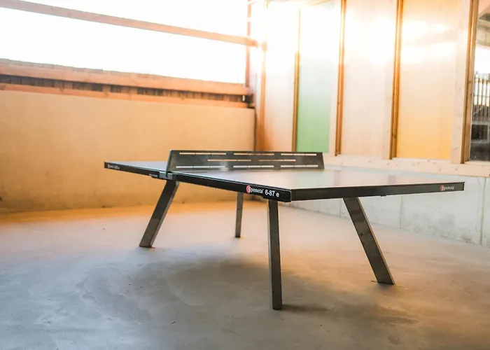 Hof Koehne - Altes - Katze *