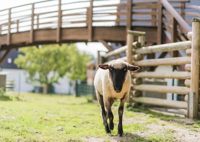 Διαμέρισμα Hof Koehne - Altes - Katze
