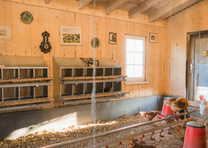 Hof Koehne - Altes - Katze Διαμέρισμα Schmallenberg