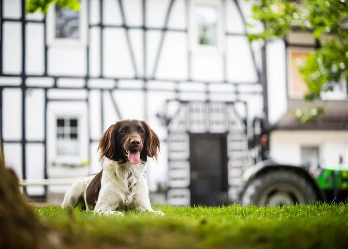 Hof Koehne - Altes - Katze Διαμέρισμα