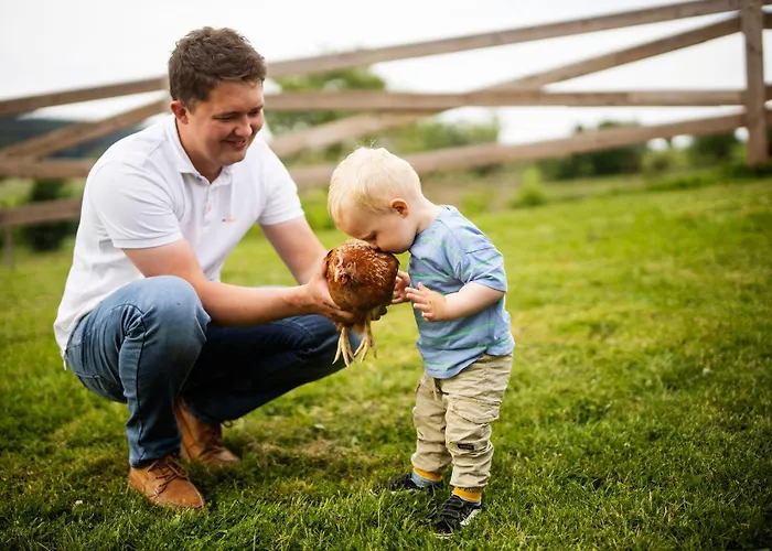 Hof Koehne - Altes - Katze *