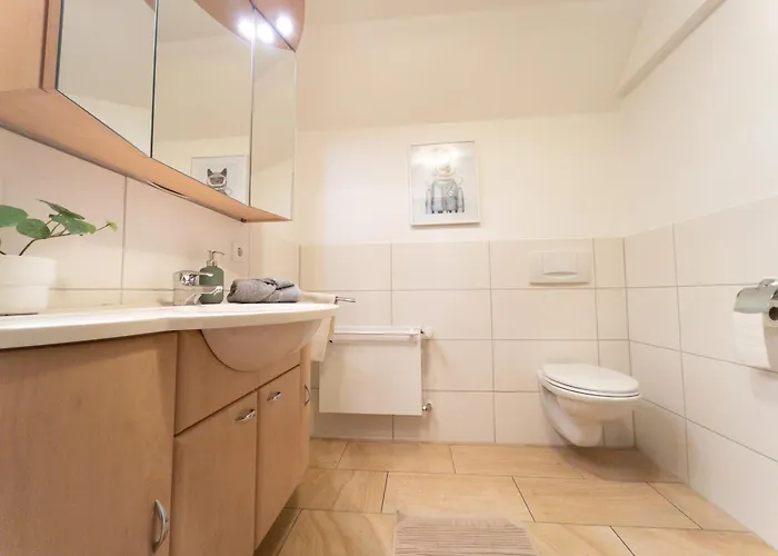 Διαμέρισμα Hof Koehne - Altes - Katze Schmallenberg